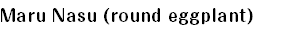 Maru Nasu (round eggplant)